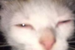 fdssdfsdf